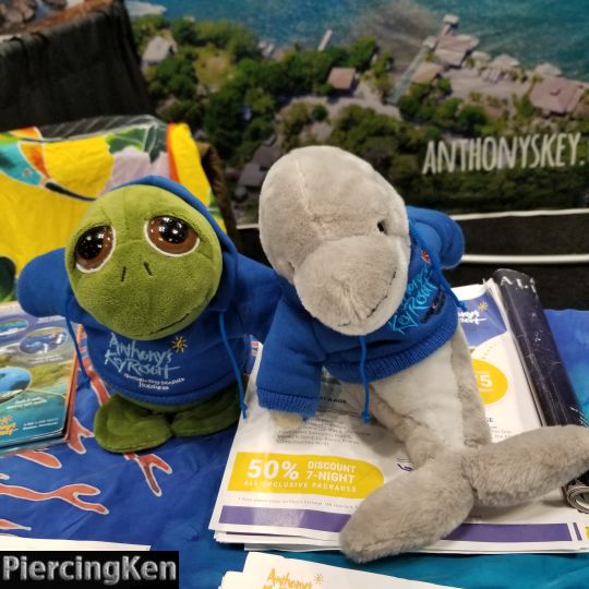 convention photos, travel and adventure show 2022, photos from the travel and adventure show, ken pierce media photo